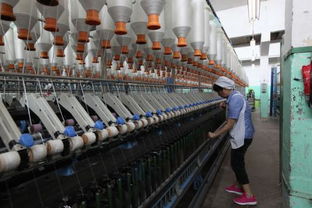 紡織廠如何精準開拓客戶并推動紡織技術開發